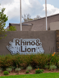 Tour image - Rhino and lion nature reserve