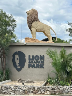 Tour image - lion park